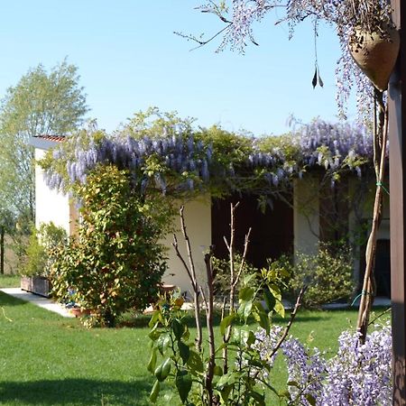 Two Elegant Depandance Villa Conscio Exterior photo